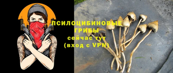 apvp Алексин