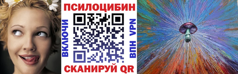 Галлюциногенные грибы мицелий  как найти   Иланский 